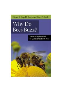 Why Do Bees Buzz?