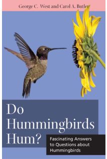 Do Hummingbirds Hum?